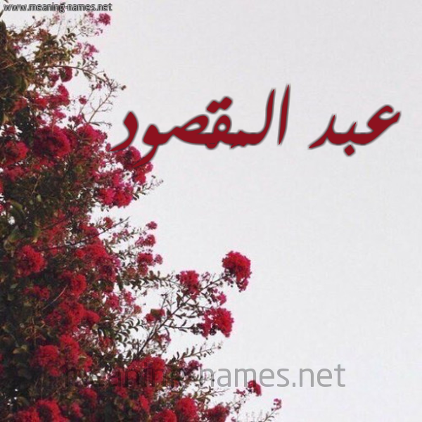 شكل 18 صوره الورد الأحمر للإسم بخط رقعة صورة اسم عبد المَقْصود Abd almksoud